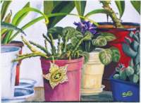 flowers.jpg